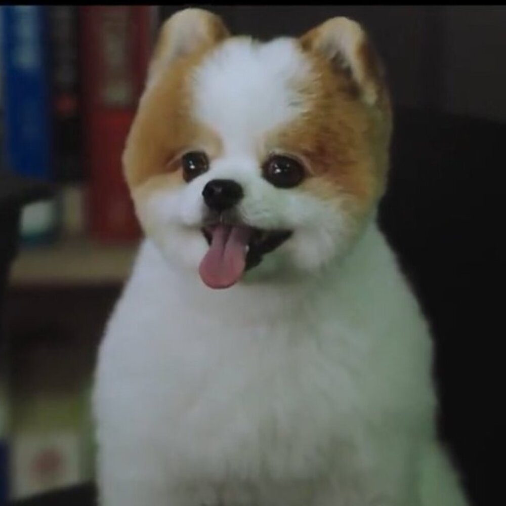 Meet your Posher, mijupomme